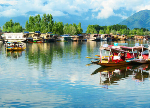 Srinagar/ Pahalgam/ Gulmarg